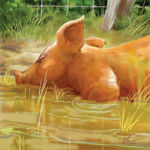 All About Pigs and Pig Lingo Image